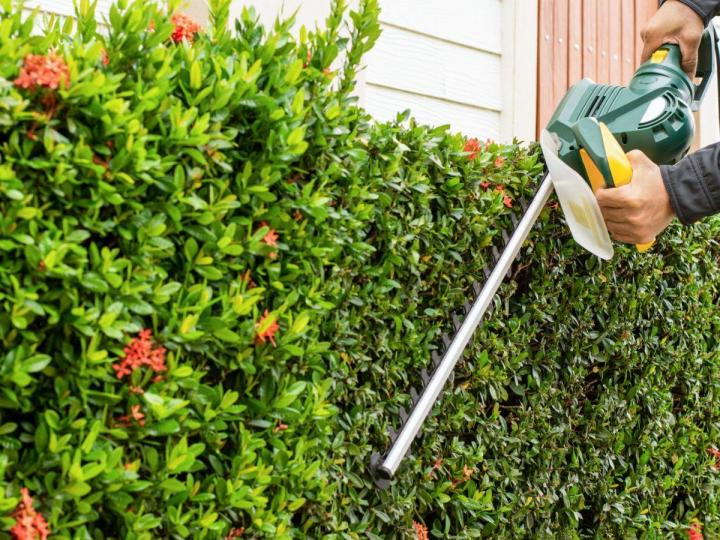 Taille de vos haies pour leur donner une forme esthétique.
