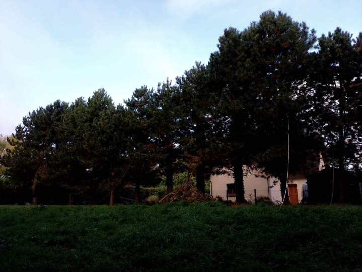 IMG 20250918 094127