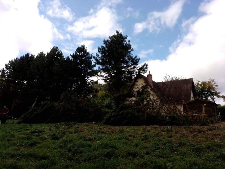 IMG 20250918 145229